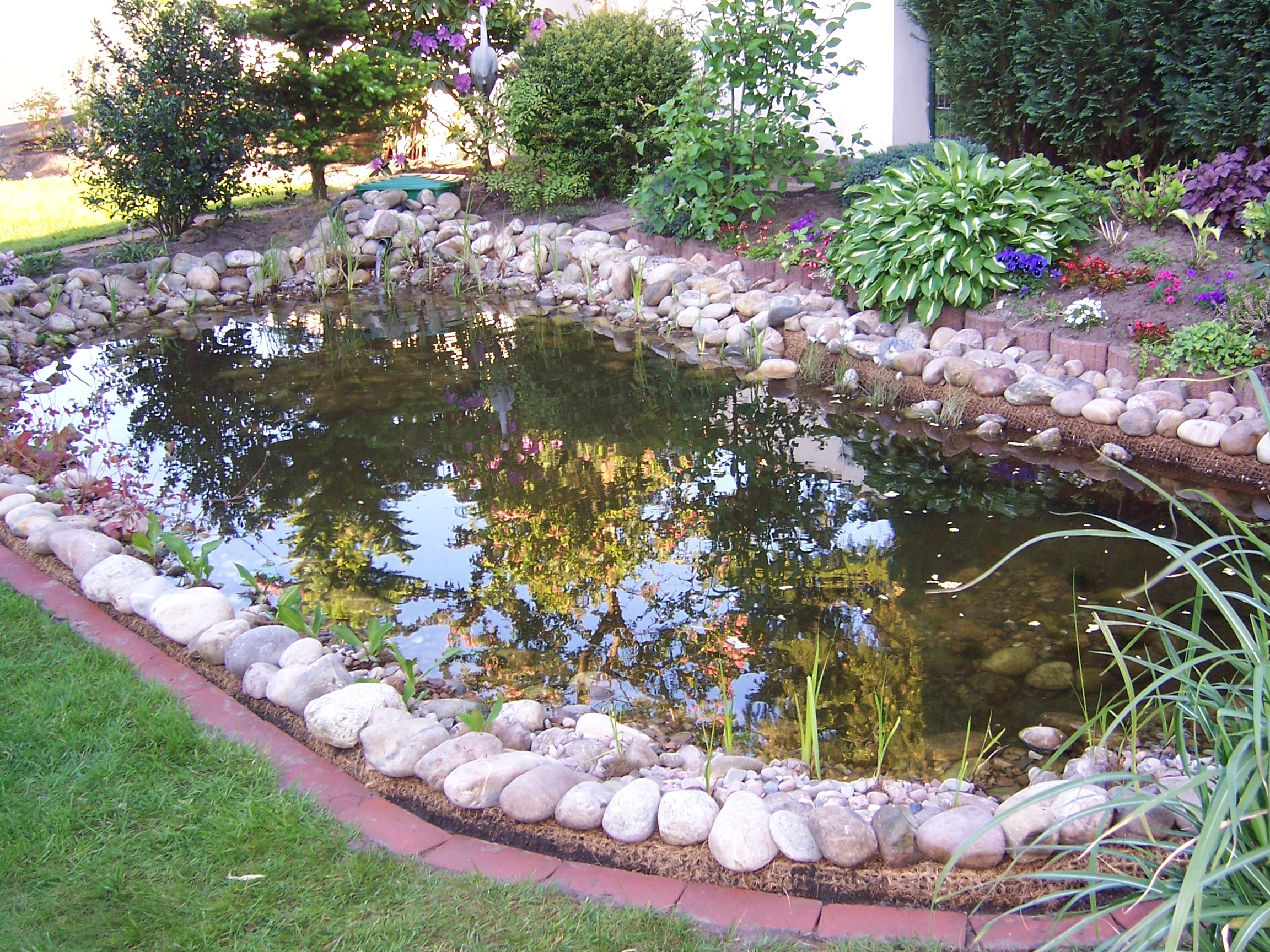 Teichbau In Der Nhe